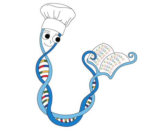 DNA cook and cookbook designed by Allison and Percy Hopper